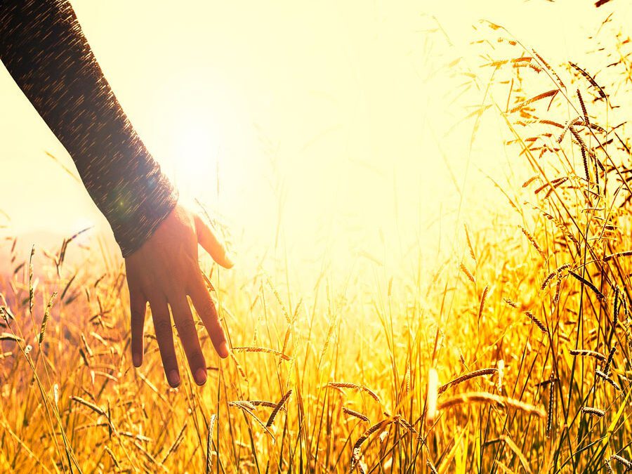 Fluir para ser feliz