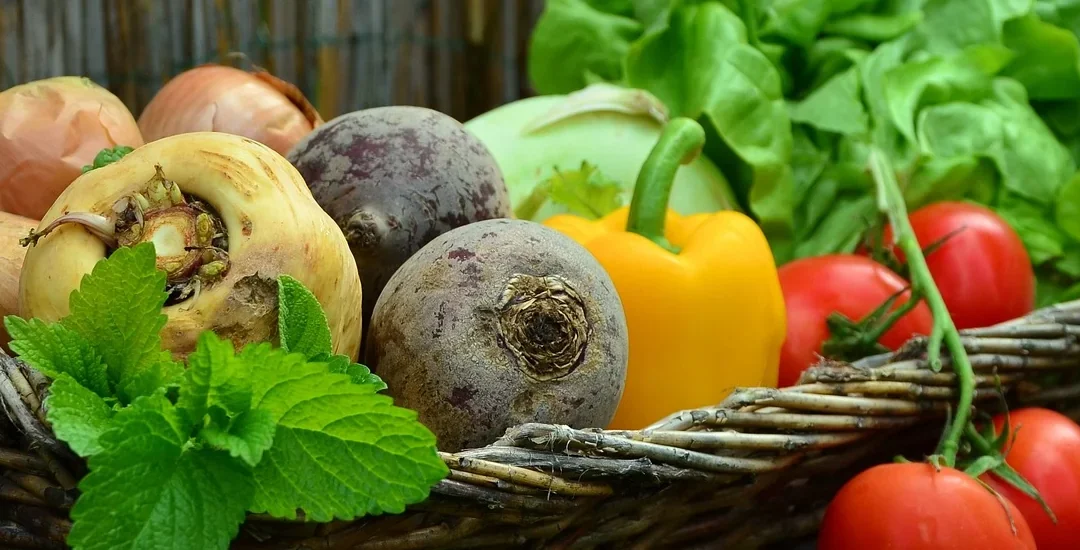 Slow Food vs. Fast Food